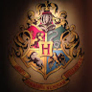 Meet your Posher, Summer